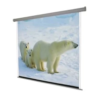 Everest PSEB100 Curtain Projection Screen