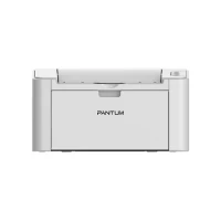 Pantum P2200 Monochrome Printer