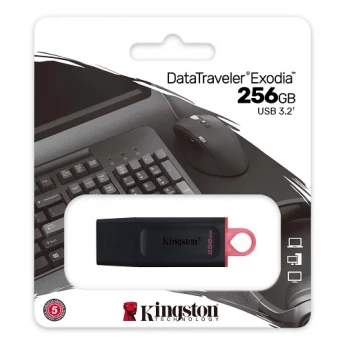 Внешний вид: USB Flash Kingston DataTraveler Exodia 256GB (DTX/256GB) USB Flash Kingston DataTraveler Exodia 256GB (DTX/256GB)