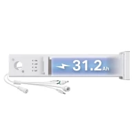 Vigi PS30 Solar System Controller