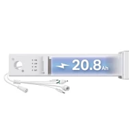 Vigi PS20 Solar System Controller