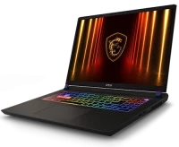MSI Vector 17 HX AI A2XWHG-067XAZ (9S7-17S372-067) Gaming Notebook