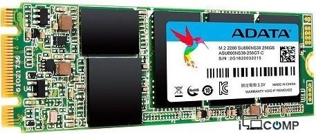SSD ADATA SU800 ASU800NS38-256GT-C (256 GB | M.2)