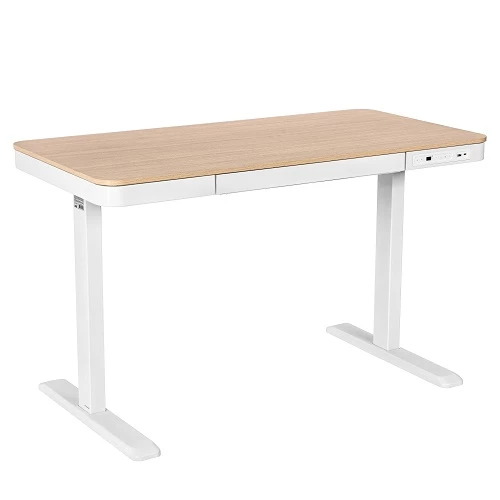 2E CE218D-Motorized Gaming Desk
