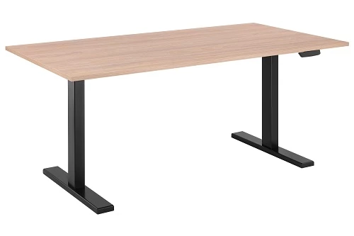 2E CE150WYLOW-Motorized Gaming Desk