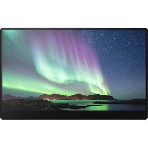 Ricoh 150BW 15.6&quot; Multi-Touch Wireless Portable Monitor