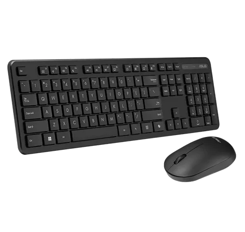 Asus CW100 (90XB0700-BKM0V0) Wireless Combo