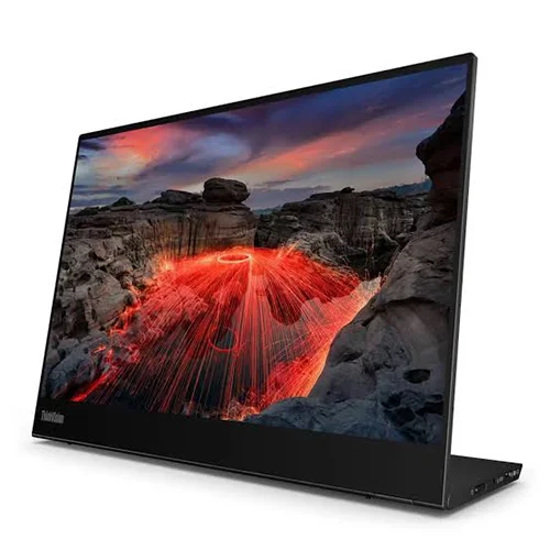 Lenovo ThinkVision M14t Gen2 (63FDUAT6WL) 14-inch 2K IPS Monitor